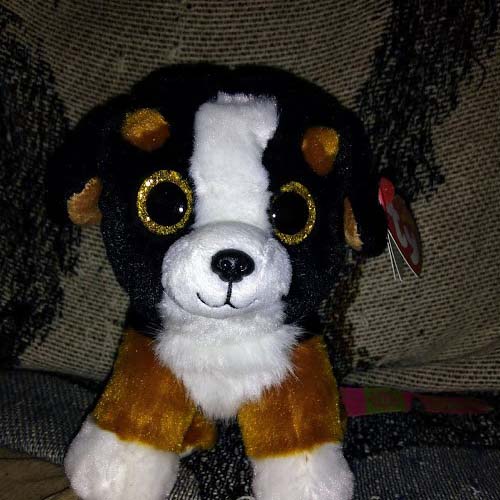 stuffed berner