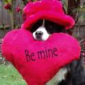 GiustiBreezeValentine05f