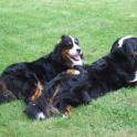 BMDCNV_HudsonMavis_080408b