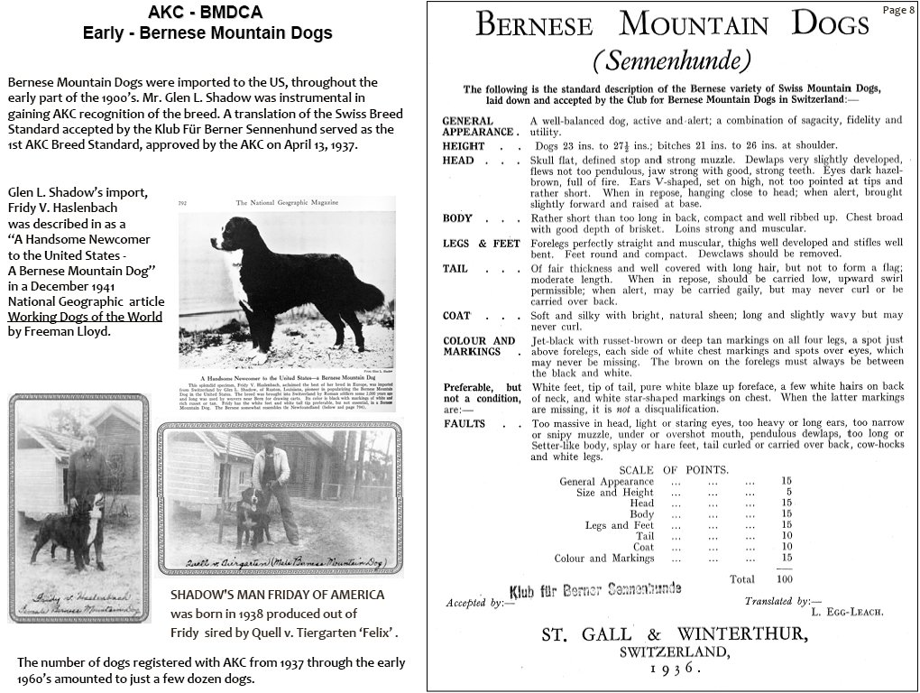 bernesemountaindogscometotheunitedstates.jpg