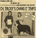 %_tempFileNameTrilogys-Chang_O_Tempo%