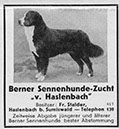 %_tempFileName1937-Hund-v_-Haslenbach%