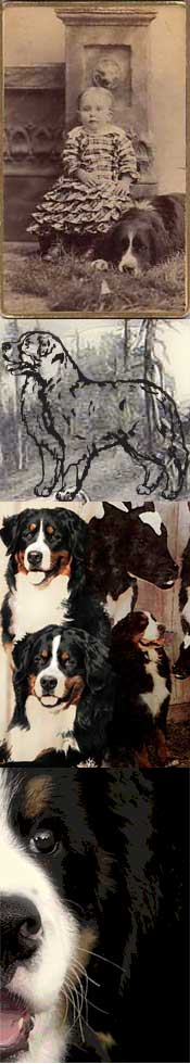 berners