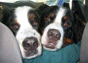 2 Berners