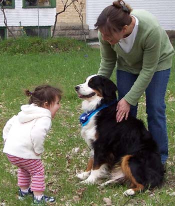 Bernese mountain deals dog kids