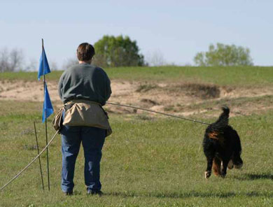 Pat Tacket and Berner tracking