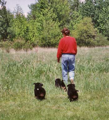 berner litter walk