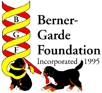 Berner Garde logo