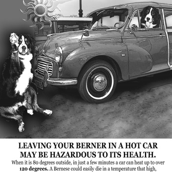 hot cars and berners